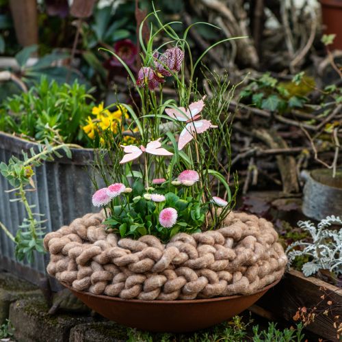 Floristik24 Stylo Kordel Filzkordel Schafwolle gewalkt Braun 10mm 15m