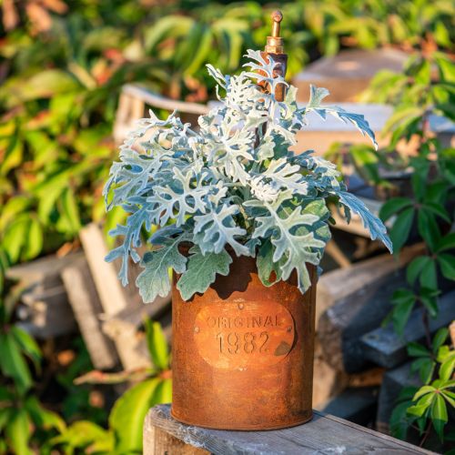 Floristik24 Übertopf Edelrost Deko Metall Mit Wasserhahn H25/37/43cm Set von 3 St