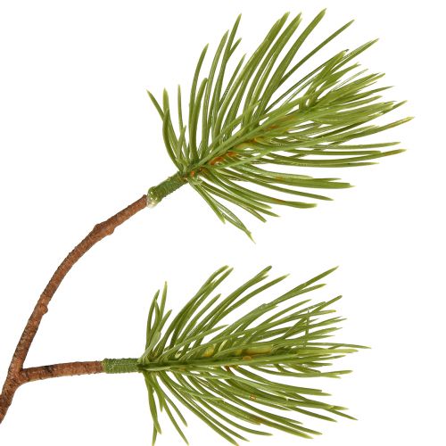 Floristik24 Weihnachtszweige Künstliche Pinienzweige L54cm 3 St
