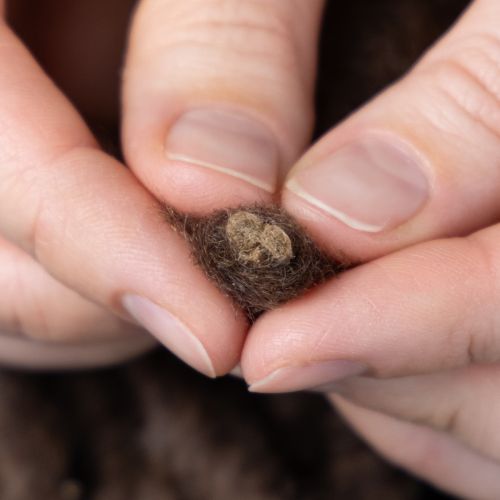 Artikel Flausch Mirabell Wollkordel Braun 25m Dekoband Floristik Basteln