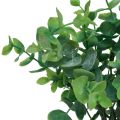 Floristik24 Künstlicher Eukalyptus Zweige Kunstpflanzen Grün 34cm 6St