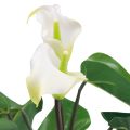 Floristik24 Calla Lilie Kalla Kunstblumen Weiß Exotische Blumen 34cm
