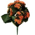 Floristik24 Flammendes Käthchen Kalanchoe künstlich Orange 24cm