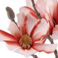 Floristik24 Magnolienzweig mit 6 Blüten Magnolie künstlich Lachs 84cm