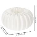 Wabenpapier Ring Kürbis rund groß für Trockenblumen und Herbstdeko 24cm 4St | Floristik24.de