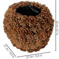 Deko-Übertopf mit Zapfen Naturoptik 27cm Zapfentopf rund Naturbraun aus Tannenzapfen 27cm 22cm | Floristik24.de