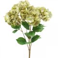 Floristik24 Hortensien Strauß künstlich Grün, Braun 5 Blüten 48cm