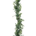 Floristik24 Künstliche Eukalyptus Girlande Deko Girlande Grün 150cm