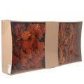 Achillea Orange Trockenblumen