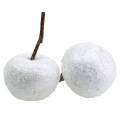 Floristik24 Deko-Äpfel Weiß mit Glitzer 5,5–6,5cm 12St