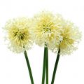 Zierlauch Allium künstlich Weiß 51cm 4St