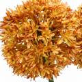 Floristik24 Zierlauch Allium künstlich Orange 70cm 3St
