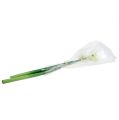 Floristik24 Amaryllis Blume Weiß L 73cm 2St