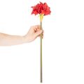 Kunstblume Amaryllis Rot mit Stiel Blumendeko für Weihnachten 50cm | Floristik24.de
