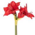 Kunstblume Amaryllis Rot mit Stiel Blumendeko für Weihnachten 50cm | Floristik24.de