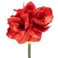 Floristik24 Kunstblume Amaryllis Rot Langer Stiel für Vase und Gesteck 77cm