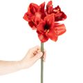 Kunstblume Amaryllis Rot Langer Stiel für Vase und Gesteck 77cm | Floristik24.de