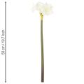 Kunstblume Amaryllis Weiß mit Stiel Advent und Weihnachten 50cm | Floristik24.de