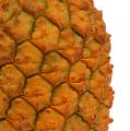 Floristik24 Ananas künstlich 21cm Orange