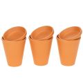 Floristik24 Aquasafe Wasserspeicher mit Insektentränke für Garten Balkon Terrasse 12cm 3St