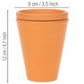 Aquasafe Wasserspeicher mit Insektentränke für Garten Balkon Terrasse 12cm 3St | Floristik24.de