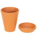 Aquasafe Wasserspeicher mit Insektentränke für Garten Balkon Terrasse 12cm 3St | Floristik24.de