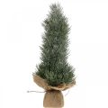 Floristik24 Mini Weihnachtsbaum künstlich im Sack Beschneit H41cm