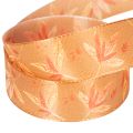 Geschenkband Herbst mit Blättern für kreative Verpackungen 25mm 18m | Floristik24.de