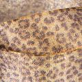 Geschenkband Leopard für