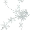 Floristik24 Satinband Weihnachtsband Band Schneeflocke Weiß 25mm 5m