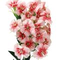 Floristik24 Bartnelke künstlich Nelke Peach Pink 52cm