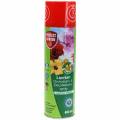 Floristik24 Orchideen- & Zierpflanzenspray Lizetan 400ml