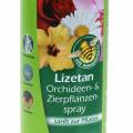 Orchideen- & Zierpflanzenspray Lizetan 400ml