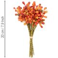 Beerenbund Orange L20cm | Floristik24.de