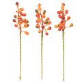 Beerenbund Orange L20cm | Floristik24.de