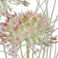 Floristik24 Kunstblume Kugelblume Allium Zierlauch künstlich Rotgrün 90cm