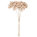 Künstlicher Beerenzweig Champagnerfarben Dekoration 28cm 3St | Floristik24.de