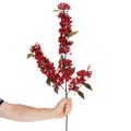 Künstlicher Zweig mit roten Beeren und Blättern 96cm | Floristik24.de