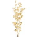 Floristik24 Beerenzweig Deko Zweig künstlich Gold 70cm 3St