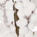 Kunstzweig Winterdeko mit Beeren und Zapfen 60cm | Floristik24.de