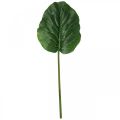 Künstliche Grünpflanze Bergenie Grün Kunstpflanze 53cm