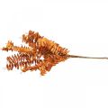 Kunstpflanzen Herbstdeko Kunstzweig Blätter Orange 46cm