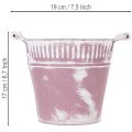 Blecheimer Lila weiß gewaschen Ø19cm H17cm 1 St | Floristik24.de