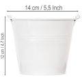 Blecheimer Weiß Ø14cm H12cm 6 St | Floristik24.de