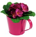 Floristik24 Blechgefäß zum Bepflanzen Pink Ø13cm H10-15cm