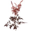 Floristik24 Kunstblume Astilbe langstielig Prachtspiere 80cm