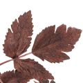 Kunstblume Astilbe langstielig Prachtspiere 80cm | Floristik24.de