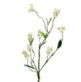 Blütenzweig Weiß L 65cm 1St Künstliche Pflanze wie echt !