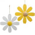 Floristik24 Holzblüten, Sommerdeko, Margeriten Gelb und Weiß, Deko-Blumen zum Hängen 4St
