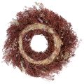 Blumenkranz Trockenblumen Kranz Weinrot Rosa Ø25cm | Floristik24.de